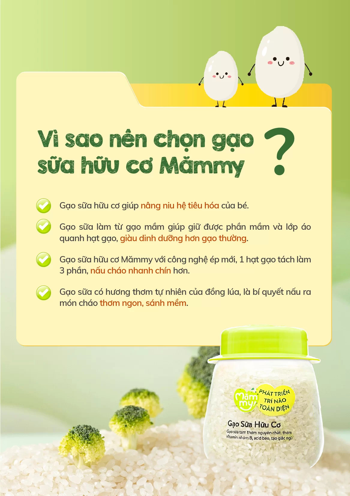 Gạo sữa hữu cơ 3