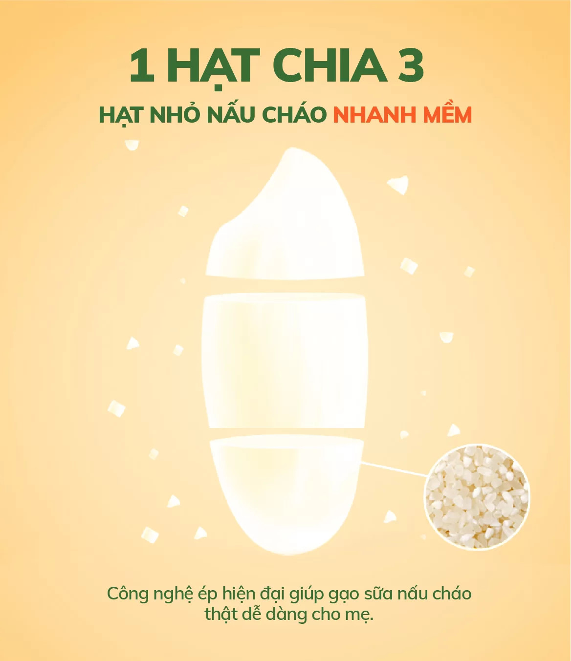 Gạo sữa hữu cơ 7